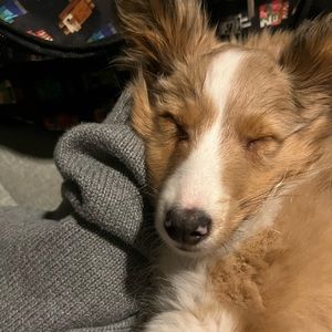 Meet your Posher, Leah